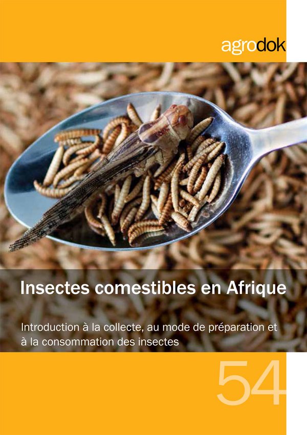 Les insectes comestibles, un marché d'avenir [DOSSIER]