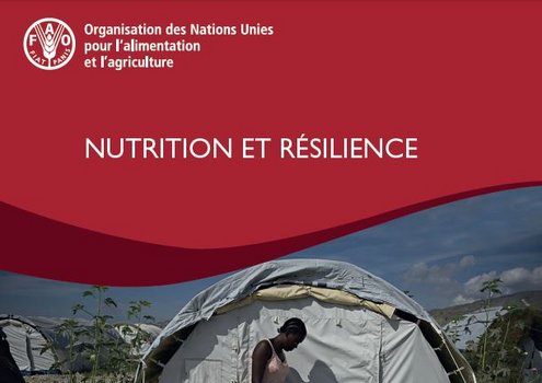 Renforcer les liens entre la résilience et la nutrition dans l’agriculture et l’alimentation