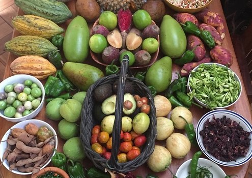 De nombreux fruits et légumes symbolisant l'agrobiodiversité