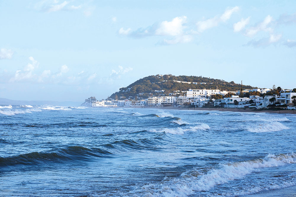 Fighting for coastlines devoured by climate change in Tunisia